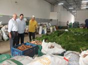 Em Arapiraca PAA já entregou 150 toneladas de alimentos