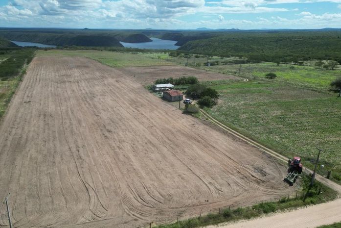 Em Delmiro, preparo de terra para plantio de inverno beneficia 150 produtores rurais 

