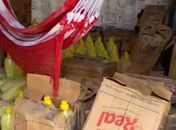 Grupo que adulterava validade de produtos vencidos é alvo de operação em Arapiraca; líder é preso
