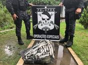 Polícia Militar encontra 50kg de explosivos dentro de barragem em Arapiraca