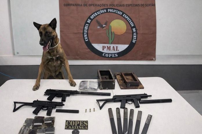 Três metralhadoras, drogas e silenciadores são apreendidos em ônibus interestadual no Sertão