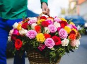 Convívio Social lança edital de cadastro para ambulantes venderem flores no dia das mães