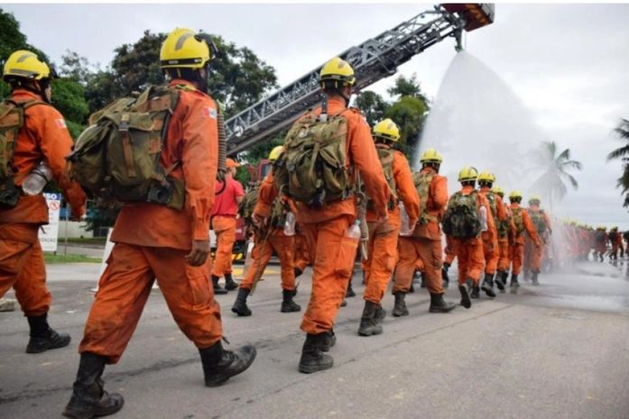 CONCURSO CBM: GOVERNO DE ALAGOAS PUBLICA RESULTADO PROVISÓRIO DA AVALIAÇÃO PSICOLÓGICA