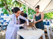 Saúde vacina cães e gatos do 2º Distrito Sanitário no próximo fim de semana
