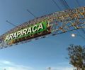 Arapiraca