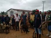 Agricultores de Canapi são agraciados com ovelhas e cisternas