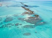 Justiça Federal suspende turismo em área de proteção no litoral norte de Alagoas
