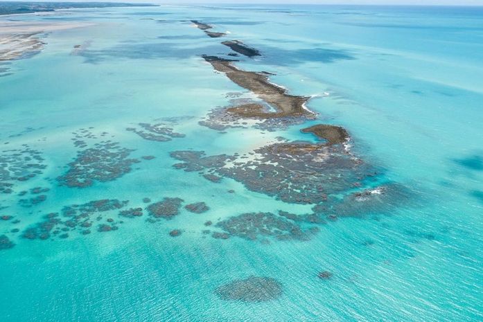 Justiça Federal suspende turismo em área de proteção no litoral norte de Alagoas
