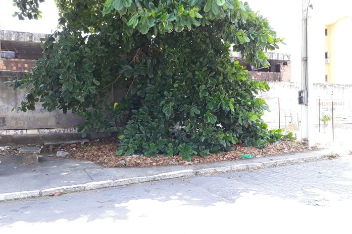 Moradores de Mangabeiras denunciam área verde utilizada como “banheiro público”