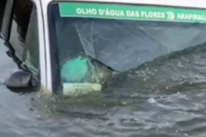 Van de transporte complementar fica submersa em açude após colisão em trecho da AL-220 