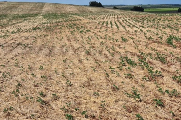 Três municípios alagoanos têm situação de emergência reconhecida pelo MIDR