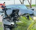 Carro atinge coqueiro após motorista perder controle da direção em Maceió