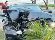 Carro atinge coqueiro após motorista perder controle da direção em Maceió