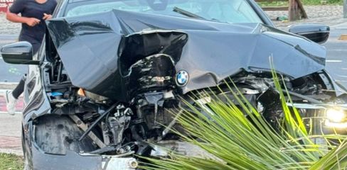 Carro atinge coqueiro após motorista perder controle da direção em Maceió