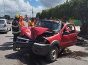 Motorista fica ferido após colidir com árvore na AL-220