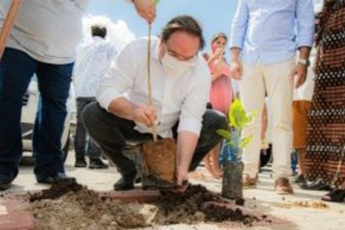 Arapiraca homenageia vítimas da Covid-19 com plantio de Ipês-amarelos