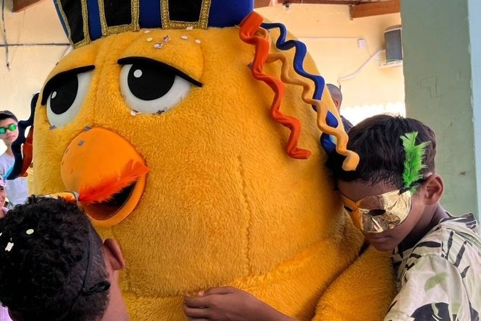 -Não quero que o Pinto da Madrugada, vá embora. Choraminga o menino com a cabeça escorada entre os braços