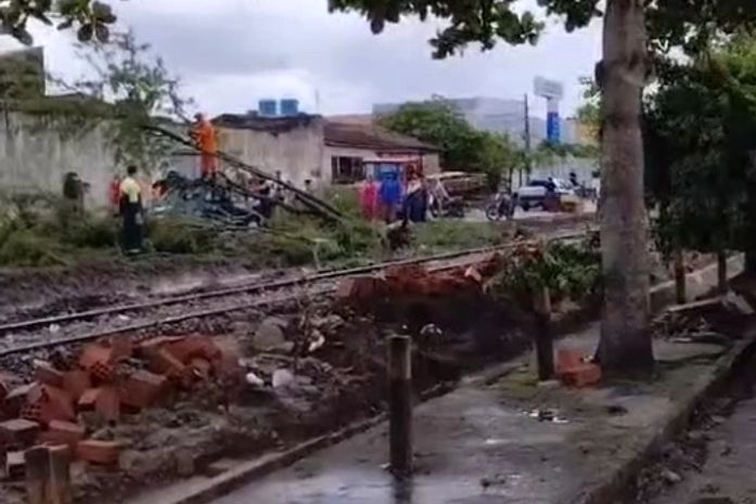 Árvore cai sobre veículo em movimento em Arapiraca