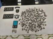 Polícia Militar retira armas e mais de quatro quilos de drogas das ruas no interior do estado