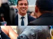 Deputado Delegado Leonam propõe a criação do Dia Estadual de conscientização e preservação do Peixe-Boi de Alagoas

