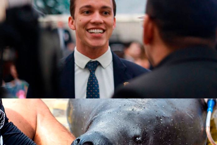 Deputado Delegado Leonam propõe a criação do Dia Estadual de conscientização e preservação do Peixe-Boi de Alagoas