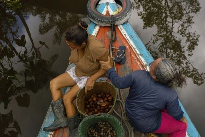 Natura lança startup de bioingredientes para conectar suas cadeias sustentáveis na Amazônia ao mercado global