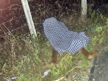 Rs=w:350,h:263,i:true,cg:true,ft:cover?cache=true