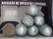 Droga foi encontrada dentro de residencia no bairro Cidade Universitária.