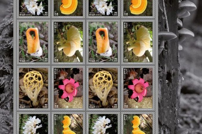 Dia Mundial do Meio Ambiente: Correios lançam selos com o tema fungos