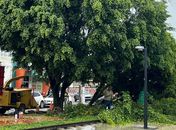 Chuvas continuam intensas em toda Arapiraca com a coocorrência de quedas de arvores 