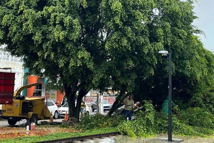 Chuvas continuam intensas em toda Arapiraca com a coocorrência de quedas de arvores
