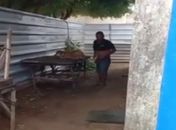 Homem é flagrado estuprando cadela no interior de Alagoas
