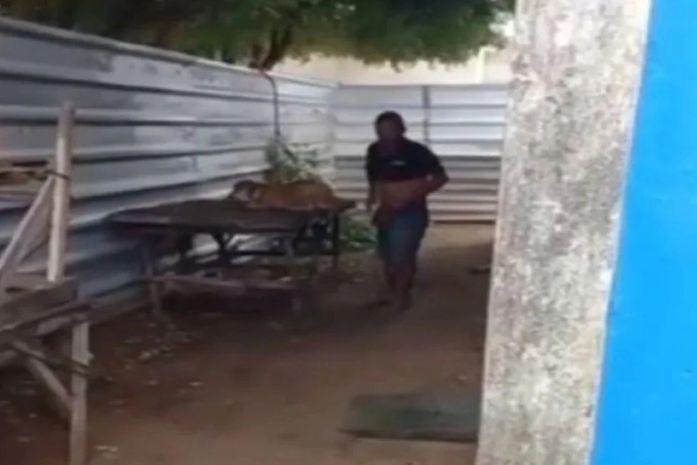 Homem é flagrado estuprando cadela no interior de Alagoas
