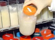 Maceió reforça incentivo à doação de leite humano e alerta para queda no número de doadoras
