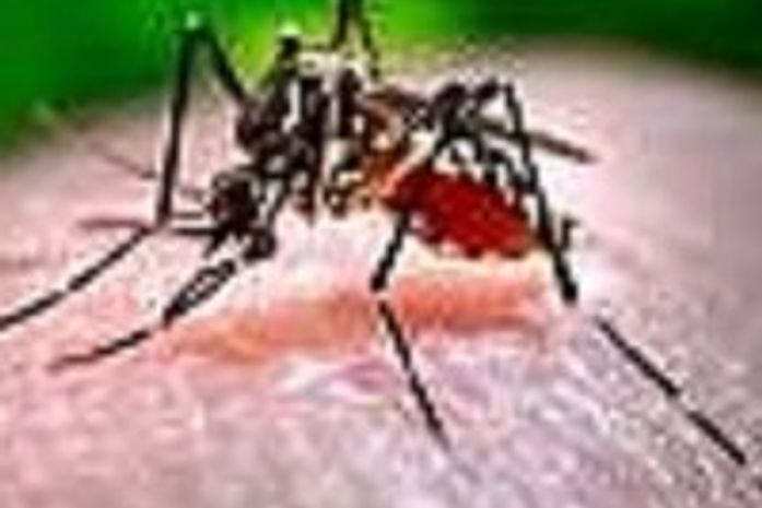 Secretaria monitora 30 municípios alagoanos que apresentam alto índice de infestação da dengue