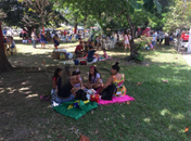 Projeto Trilha Sonora leva música ao Parque do Horto no sábado