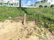 Moradores flagram tartaruga-de-pente desovando em Cruz das Almas