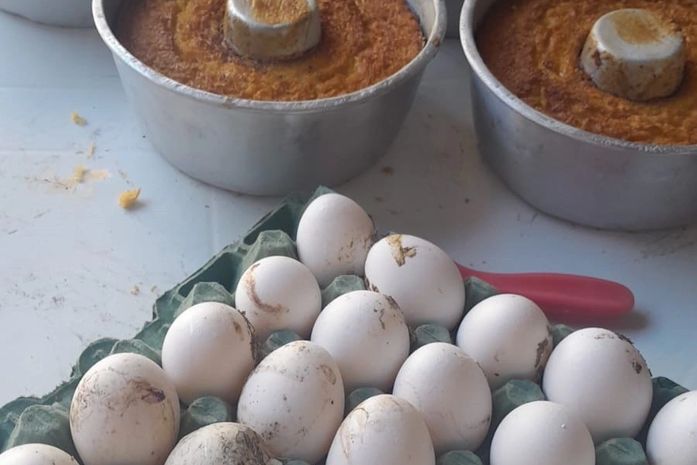 Alimentos estragados e água suja: Vigilância Sanitária interdita fábrica de bolos em Maceió