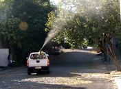 Sem carro fumacê surto de Dengue só aumenta em Arapiraca