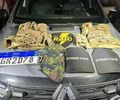 Polícia Militar apreende drogas e coletes balísticos, em Maceió