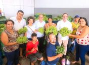 Prefeitura de Arapiraca já adquiriu mais de 600 toneladas de alimentos da agricultura familiar