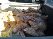 Cerca de 300 kg de queijos, manteiga, iogurtes e outros produtos vencidos são apreendidos pela VISA em Maceió