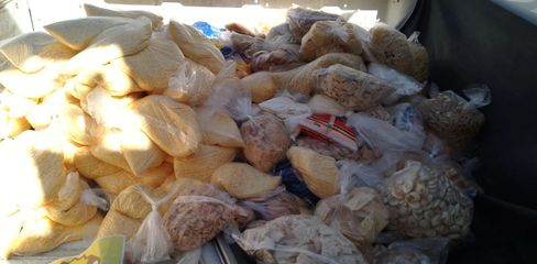 Cerca de 300 kg de queijos, manteiga, iogurtes e outros produtos vencidos são apreendidos pela VISA em Maceió