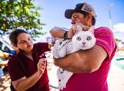 Zoonoses realiza vacinação antirrábica em bairros do Litoral Norte a partir de hoje