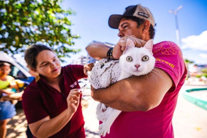Zoonoses realiza vacinação antirrábica em bairros do Litoral Norte a partir de hoje