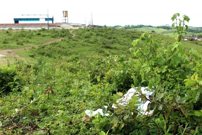 Cadáver nu é encontrado em matagal de Joaquim Gomes