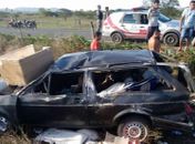 Animal solto provoca acidente em trecho da rodovia AL 487