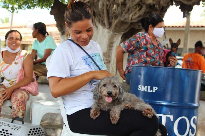 Prefeitura de Coruripe inicia projeto de castração de animais pelo Pontal
