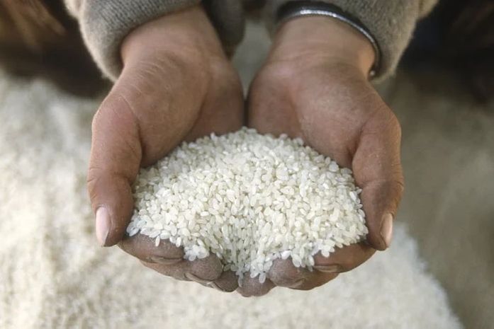 Governo já discute cancelamento de leilão de arroz importado