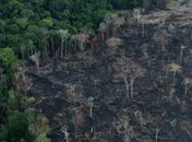 Área desmatada da Amazônia brasileira em Itaituba, no Pará.
